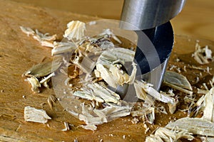Drilling wooden plank with wood drill bit