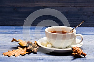 Drink and acorn and oak leaves. Tea served with spoon, sugar and decor as cinnamon. Mug filled with black brewed tea