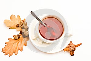 Drink and acorn and oak leaves. Tea served with spoon, sugar and decor as cinnamon. Mug filled with black brewed tea