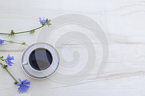 Drink chicory in a white cup and blue flowers of a chicory plant on a white wooden background. Invigorating morning drink.