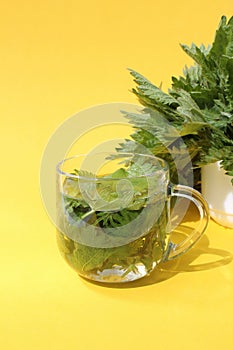 A drink made from nettle leaves stands on a yellow background.