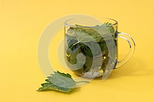 A drink made from nettle leaves stands on a yellow background.