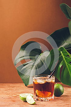 A drink of rum or cola ice cubes and juicy lime in glass goblets against background tropical green leaves. Copy space.