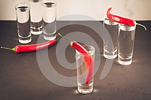 Drink set with shots of vodka and red pepper/Drink set with shot