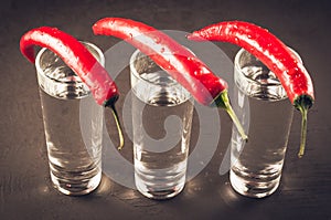 Drink set with shots of vodka and red pepper/Drink set with shots of vodka and red pepper on a dark background