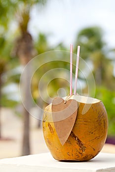 Drinking coconut paper heart tag