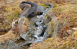 Drinking from a stream in Iceland