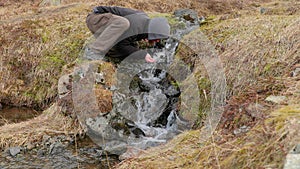 Drinking from a stream in Iceland