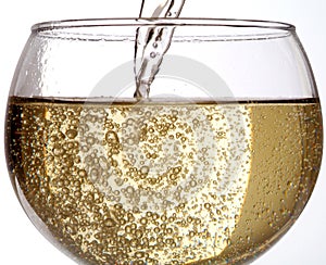 Pitie víno šampanské 