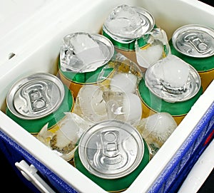 Drinks Cooler