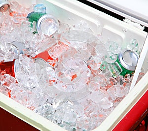 Drinks in Ice Chest