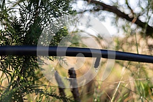 Drip Irrigation System Close Up