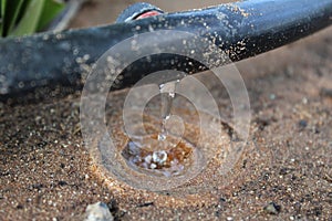 Drip Irrigation System Close Up - Stock Image photo