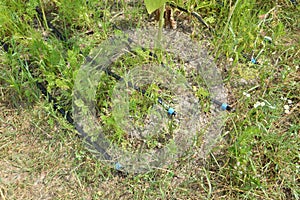 Drip irrigation system for the garden and vegetable garden in the village