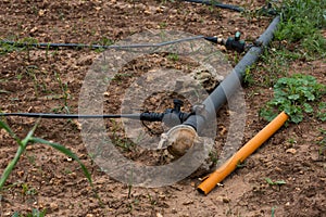 Drip Irrigation System. Water saving drip irrigation