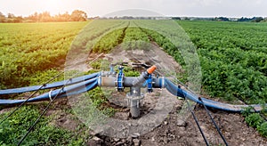 Drip irrigation system. Water saving drip irrigation system