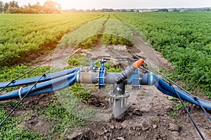 Drip irrigation system. Water saving drip irrigation system