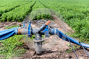 Drip irrigation system. Water saving drip irrigation system being