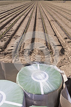 Drip irrigation tape reels close to recently planted seedlings