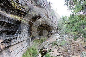 The Drip rock wall and gum trees