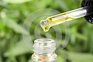 Dripping essential oil from pipette into  bottle against blurred green background, closeup