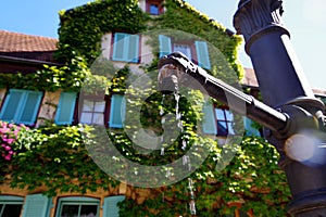 Dripping fountain faucet with a lion head and blurred house behind it    2