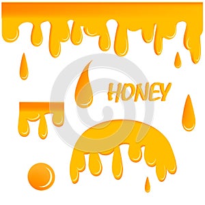 Dripping honey. Liquid golden oil or sauce food drops caramel splash and flowing vector realistic template.Graphic concept for