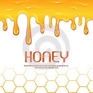 Dripping honey seamless vector border photo