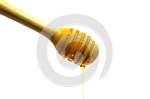 Dripping honey on wooden dipper or wooden spoon isolated on whit