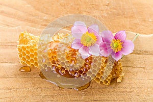 Dripping honeycomb and flowers