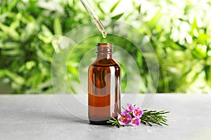 Dripping natural essential oil into bottle near tea tree branch