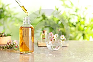 Dripping natural tea tree essential oil into bottle on table