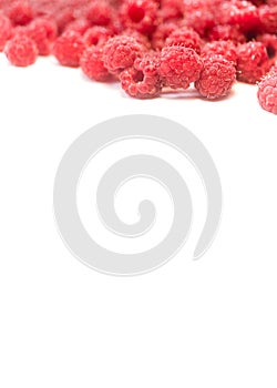 Dripping raspberry on white background.