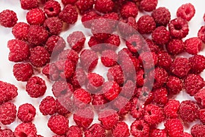 Dripping raspberry on white background.