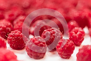 Dripping raspberry on white background.