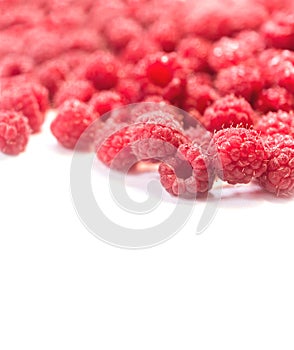Dripping raspberry on white background.