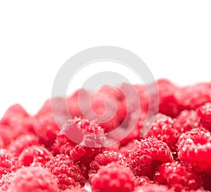 Dripping raspberry on white background.