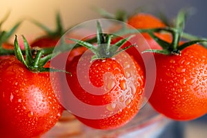 Dripping red tomatoes