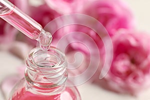 Dripping rose essential oil into bottle against blurred flowers on table