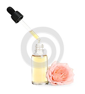 Dripping rose essential oil from pipette into bottle and flower