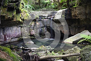 Dripping water, cool moss and ferns at Carnarvon Gorge.