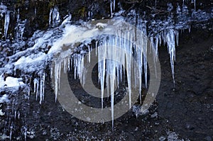 Dripping water frozen into a group of icicles on a steep rock face.