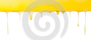 Dripping yellow liquid or oil on a white background, wide