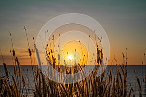 Dripstone Beach at sunset