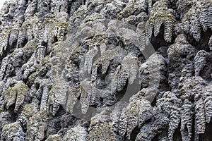 Dripstone wall in Prague