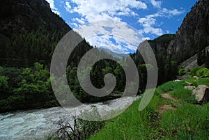 Drive along the Crystal River in Colorado