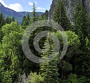 Drive along the Crystal River in Colorado photo