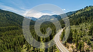 drive through the forest on a nice day