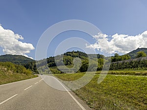 Drive towards the Black Forest at the apple orchards and vineyards