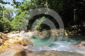 Driver`s river near Reach falls in Jamaica